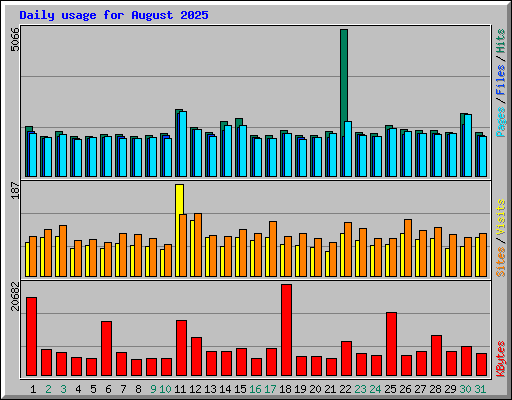 Daily usage for August 2025