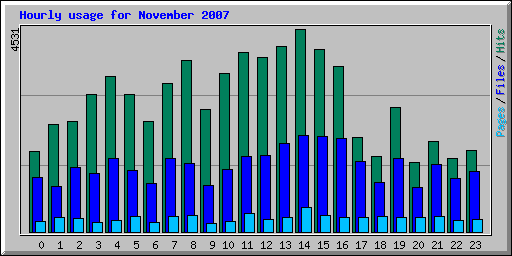 Hourly usage for November 2007