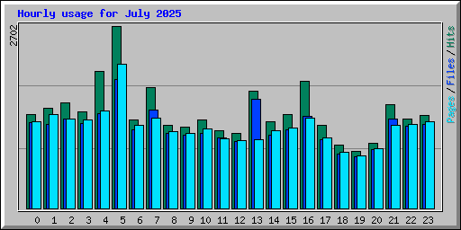 Hourly usage for July 2025