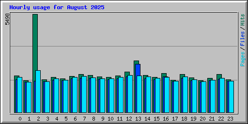 Hourly usage for August 2025