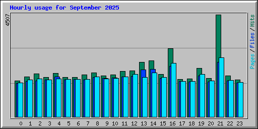 Hourly usage for September 2025