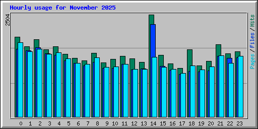 Hourly usage for November 2025