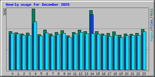 Hourly usage for December 2025
