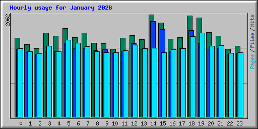 Hourly usage for January 2026