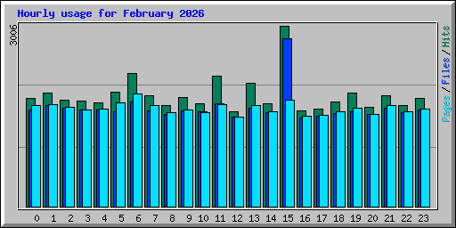 Hourly usage for February 2026